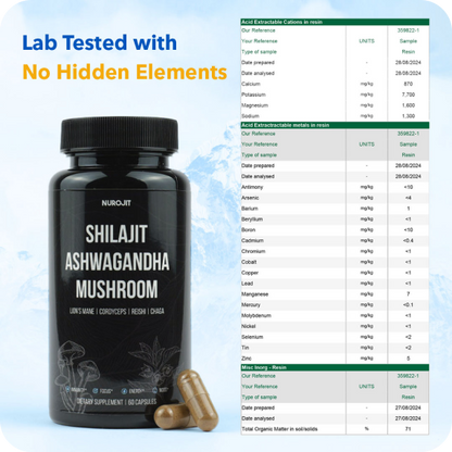 Shilajit Ashwagandha Mushroom Capsules